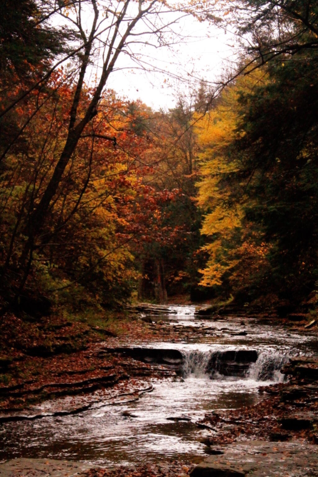 Photo: Another Small Falls