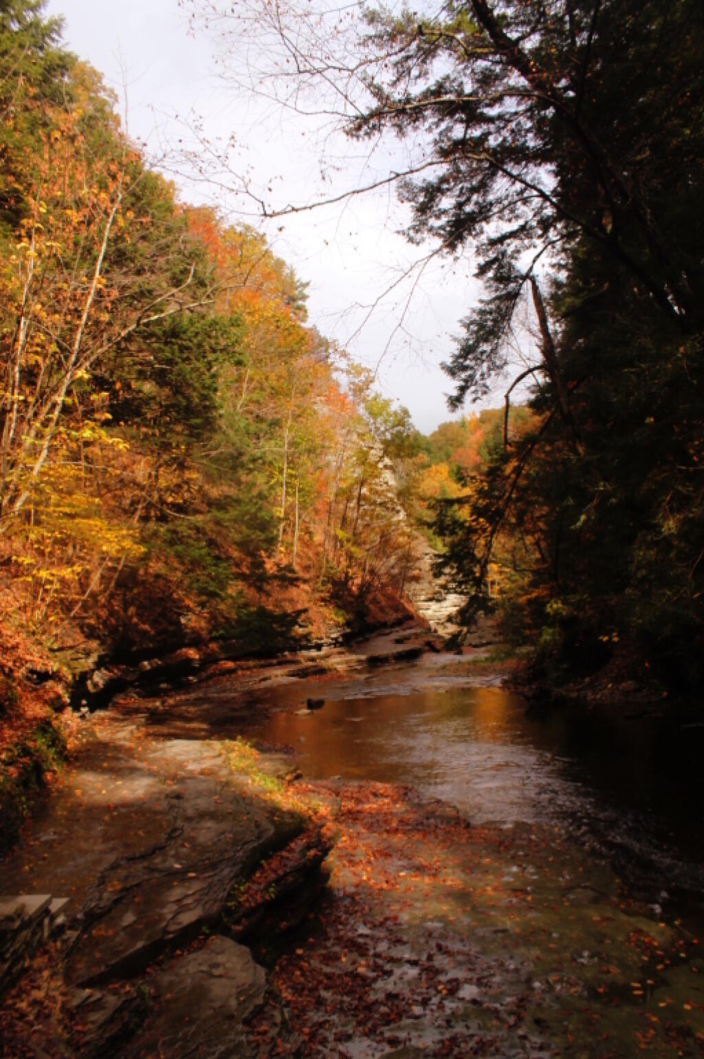 Photo: Winding Through the Gorge