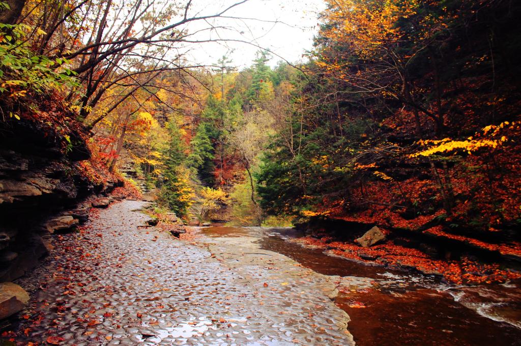 Photo: Above Upper Falls