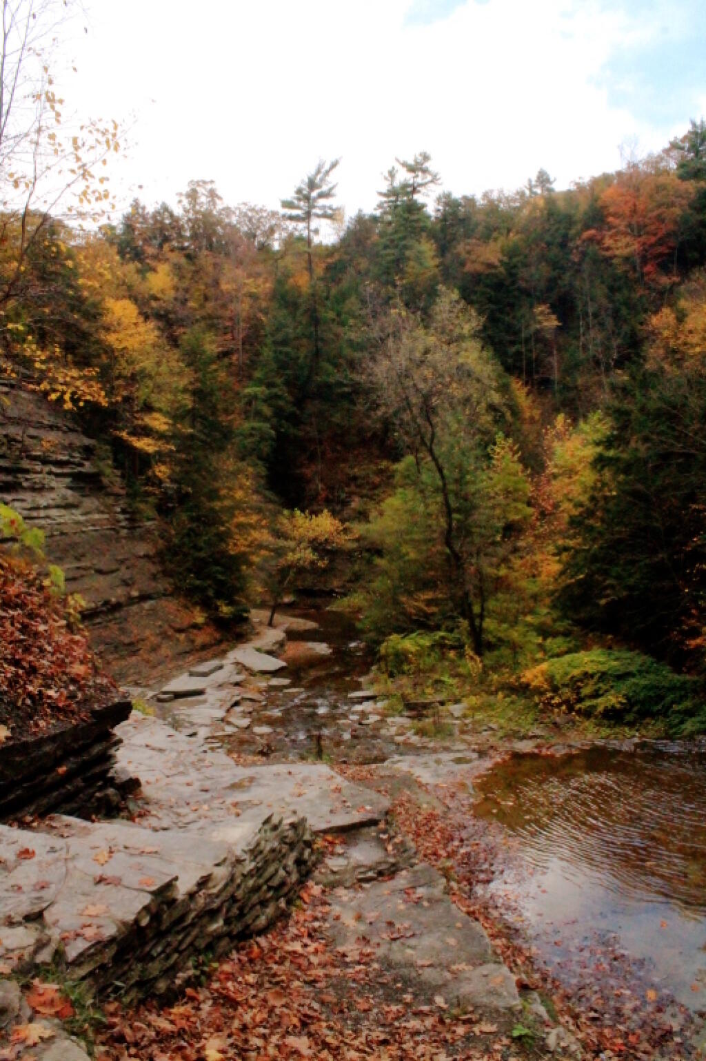 Photo: Gorge Below Upper Falls Photo: Gorge Below Upper Falls