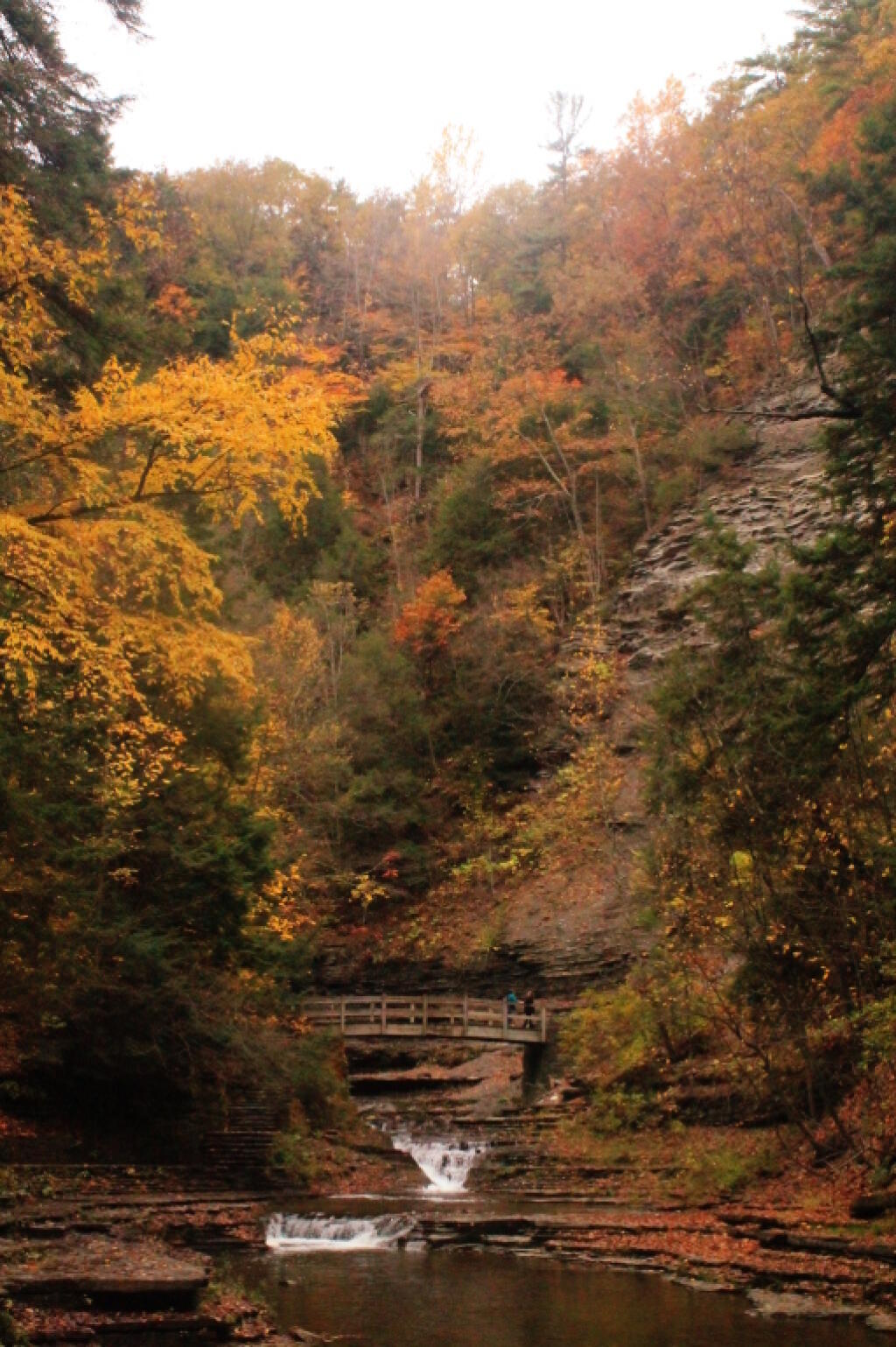 Photo: Bridge