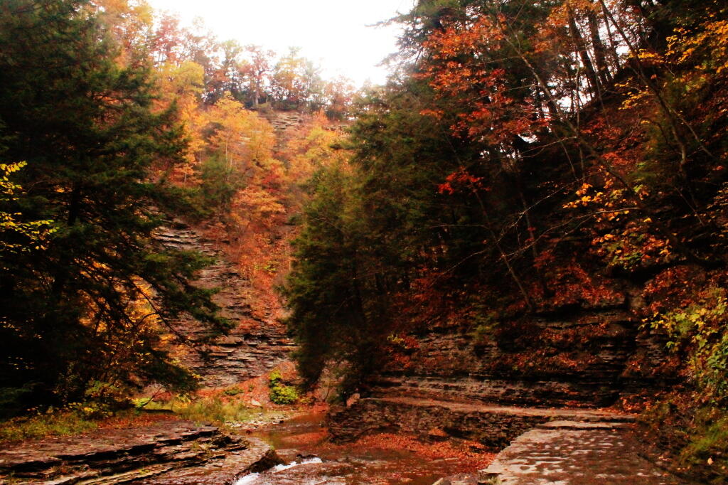 Photo: Narrow Gorge