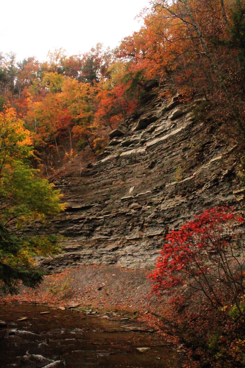 Photo: Gorge Wall