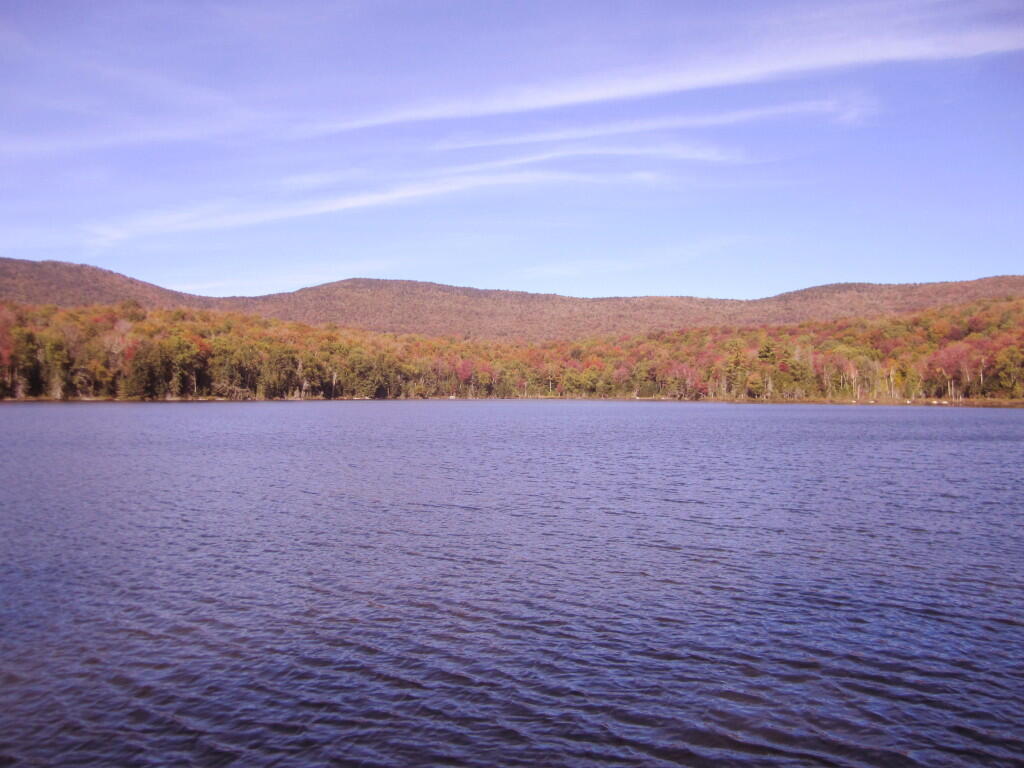 Photo: Limited Color At Wakely Pond