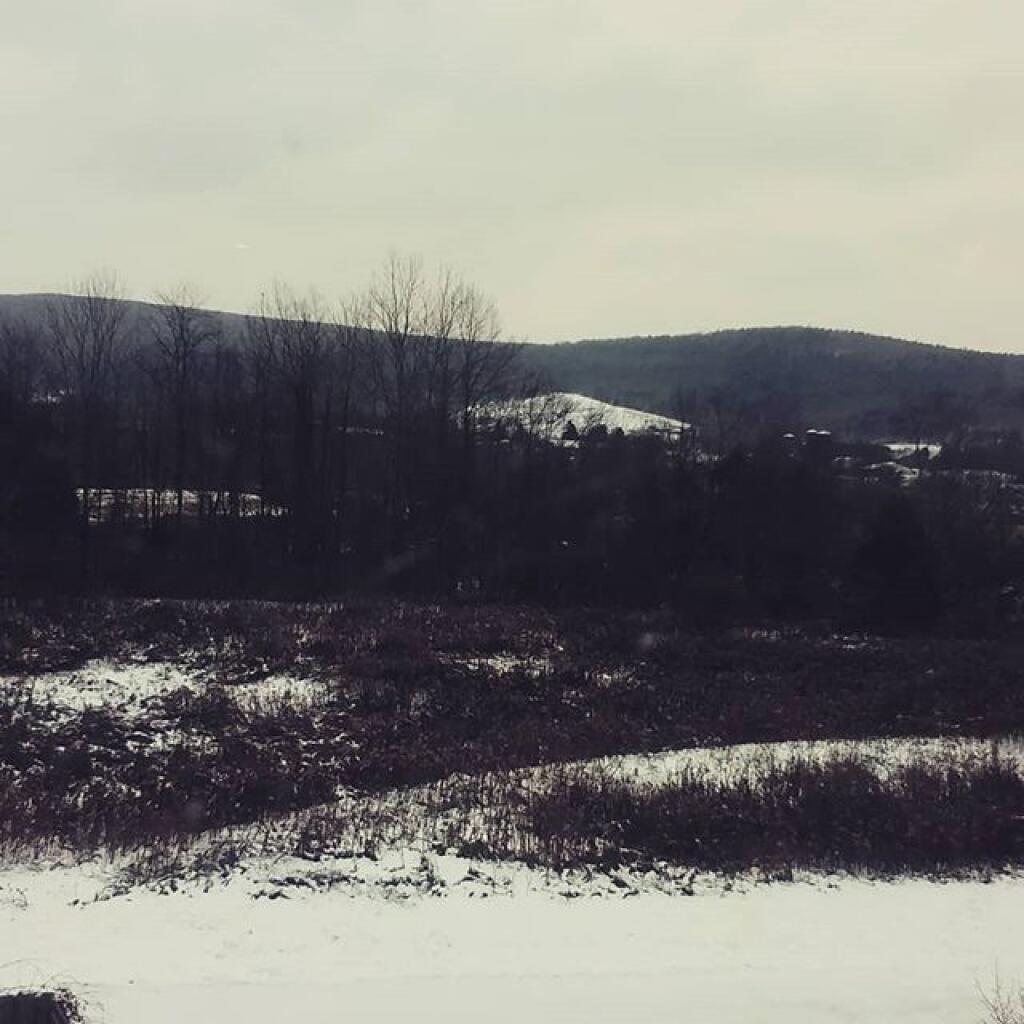 Photo: Cold, gray November day
