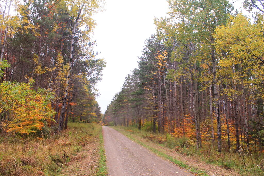 Photo: Past Ossian Pond