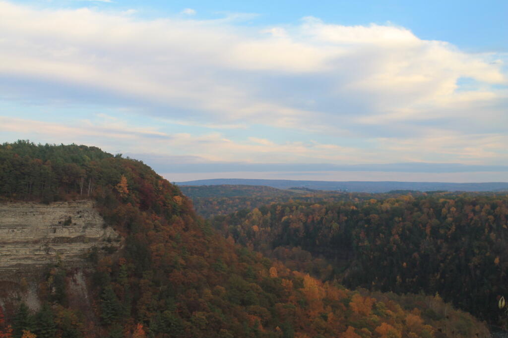 Photo: Untitled