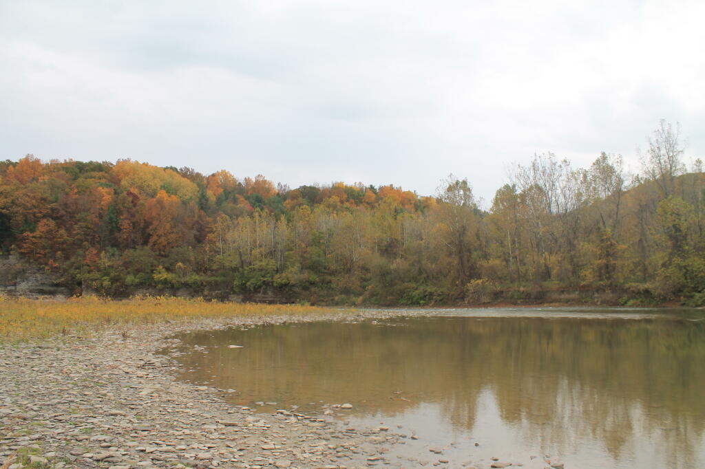 Photo: Geneseo River