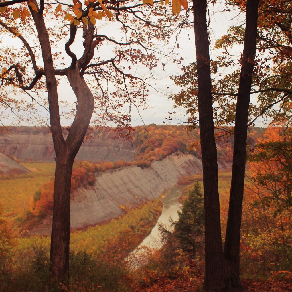 Photo: High Banks