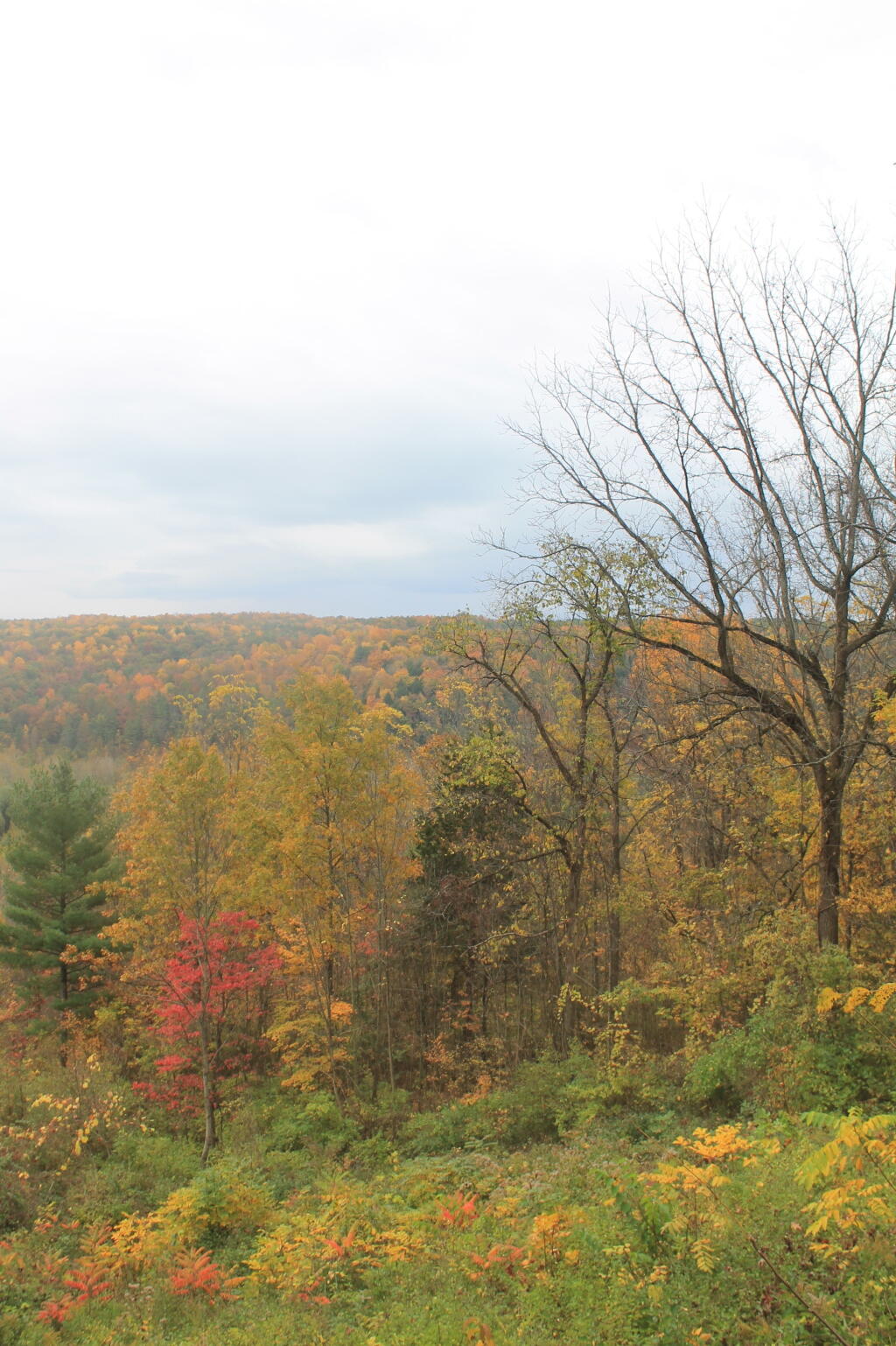 Photo: Gardeau Overlook 2 Photo: Gardeau Overlook 2