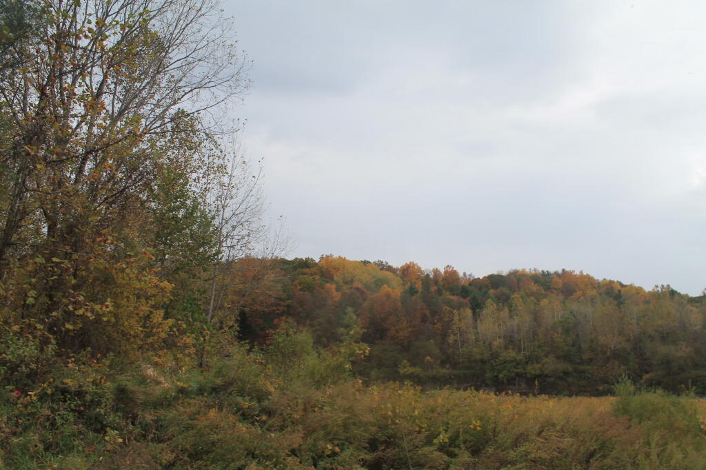 Photo: Greens of the Letchworth Valley