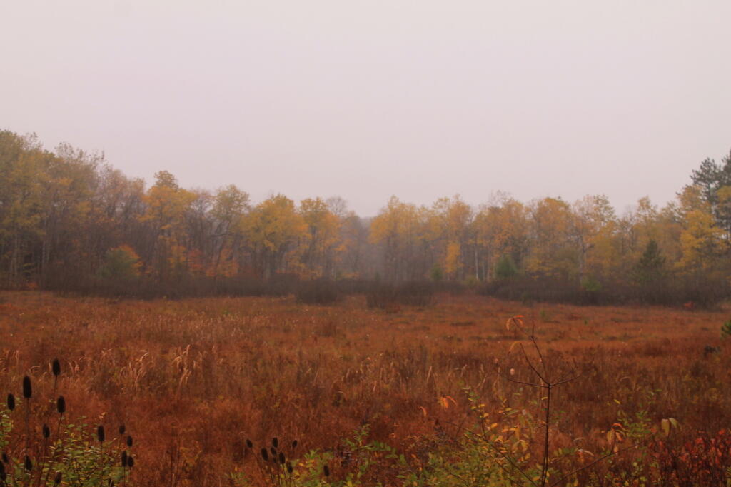 Photo: Fly Creek