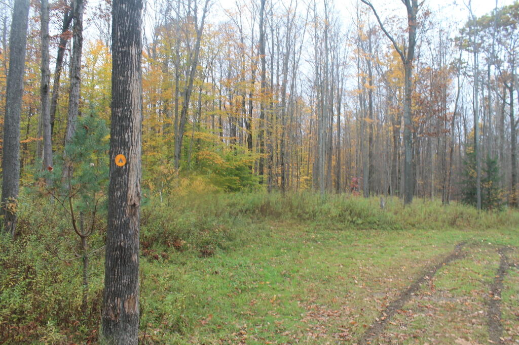 Photo: Campsite