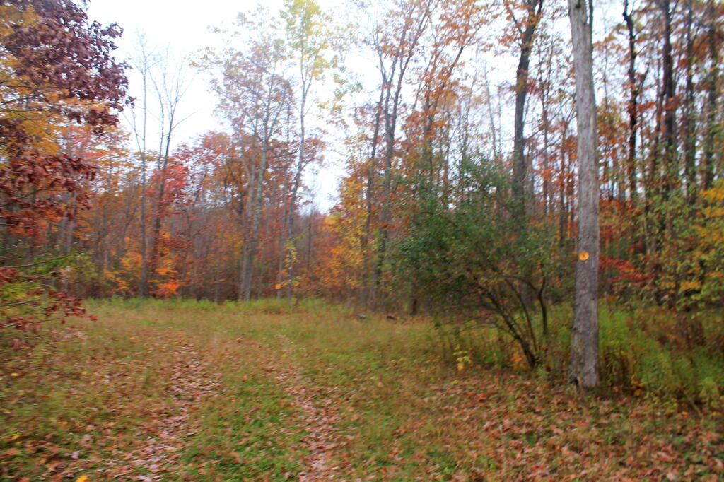 Photo: Another Campsite