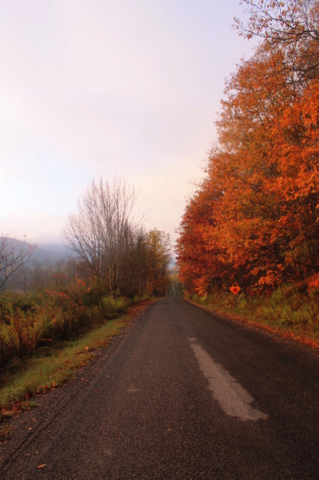 Photo: Back Roads of Cattaraugus County
