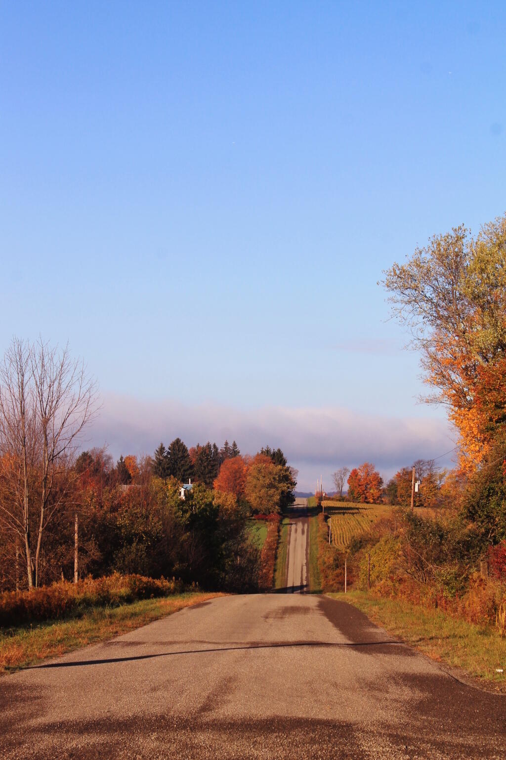 Photo: Smith Hill Road