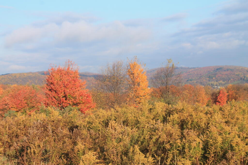 Photo: View off Smith Hill Road