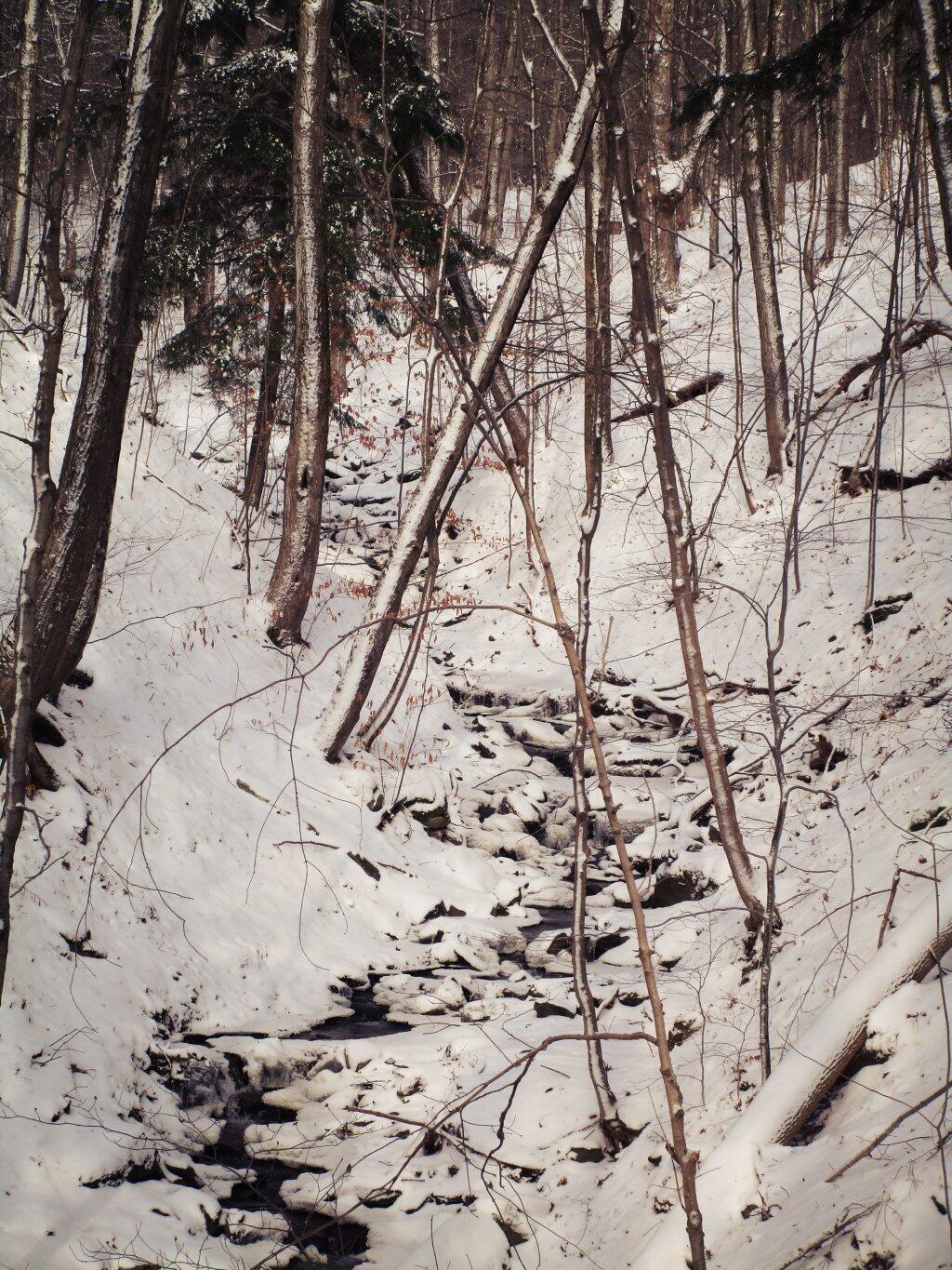 Photo: Creek