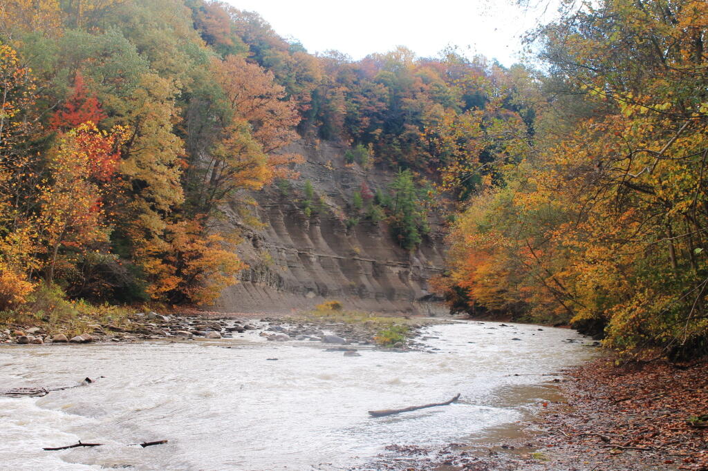 Photo: Along The South Branch