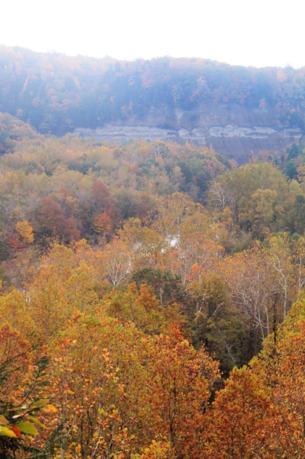 Photo: Gorge Walls From Above