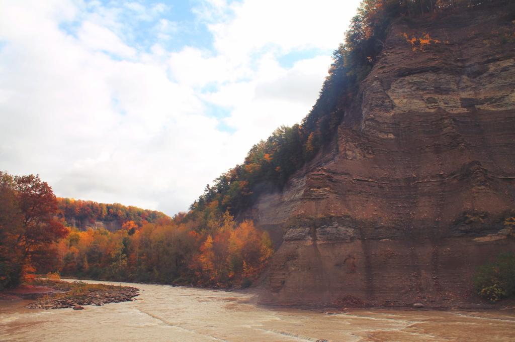Photo: Nose Where The South Branch Of Cattaragus Creek Joins The Main Branch