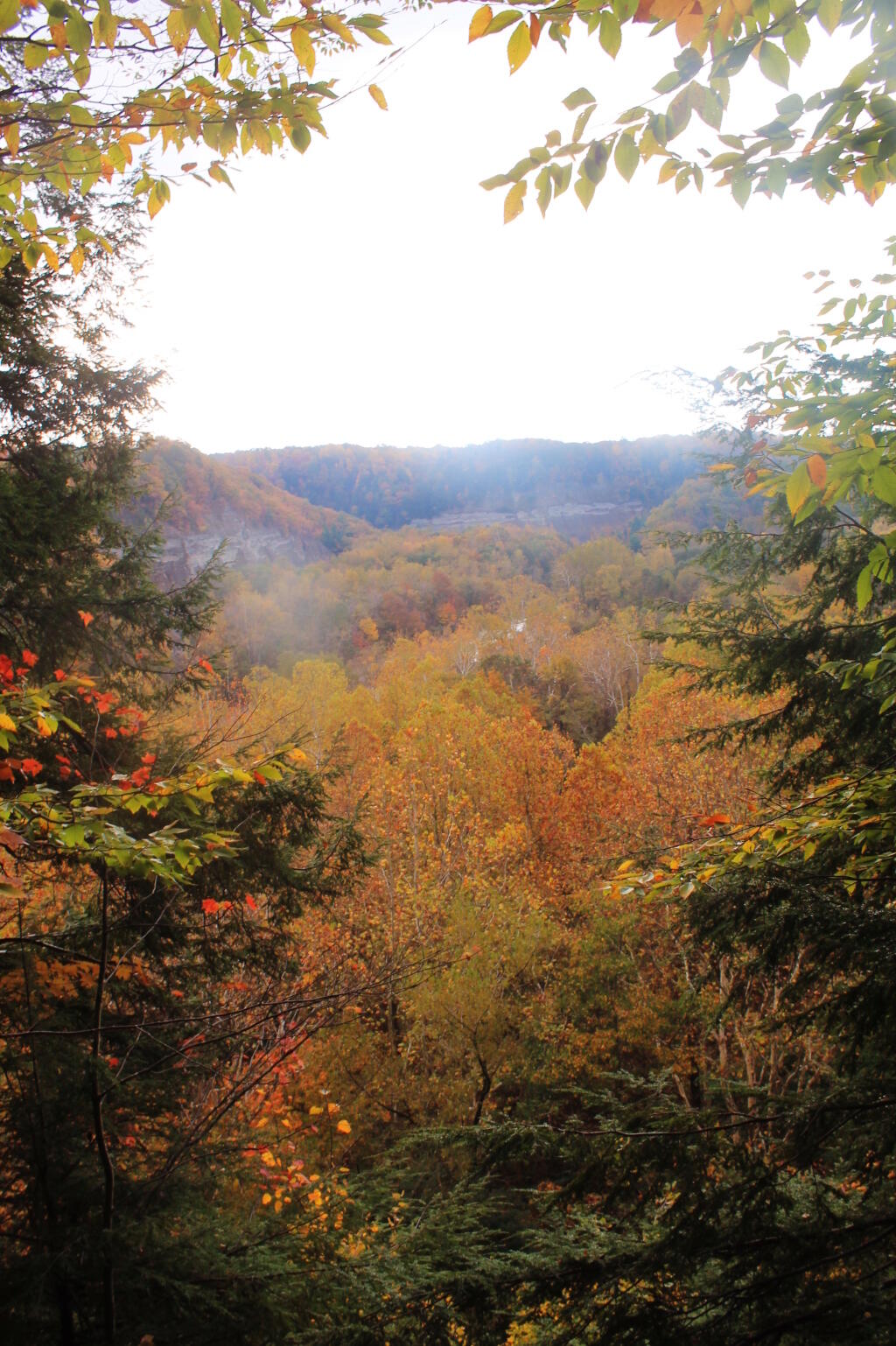Photo: Some Color In The Valley