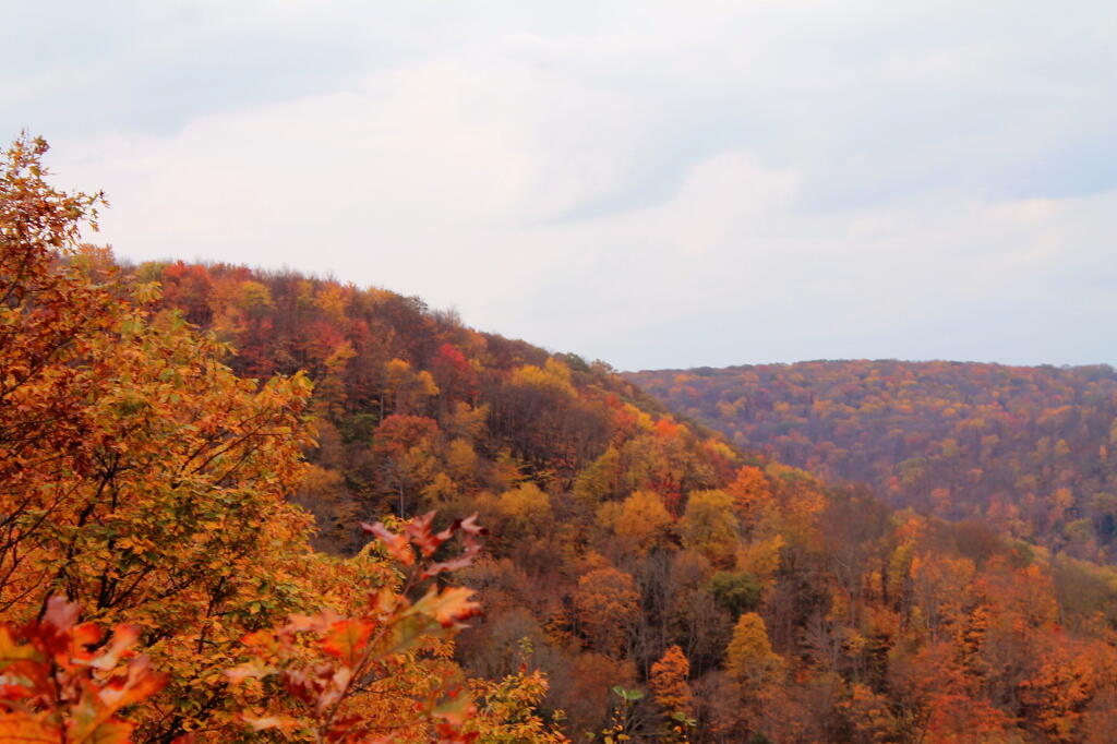 Photo: Hills