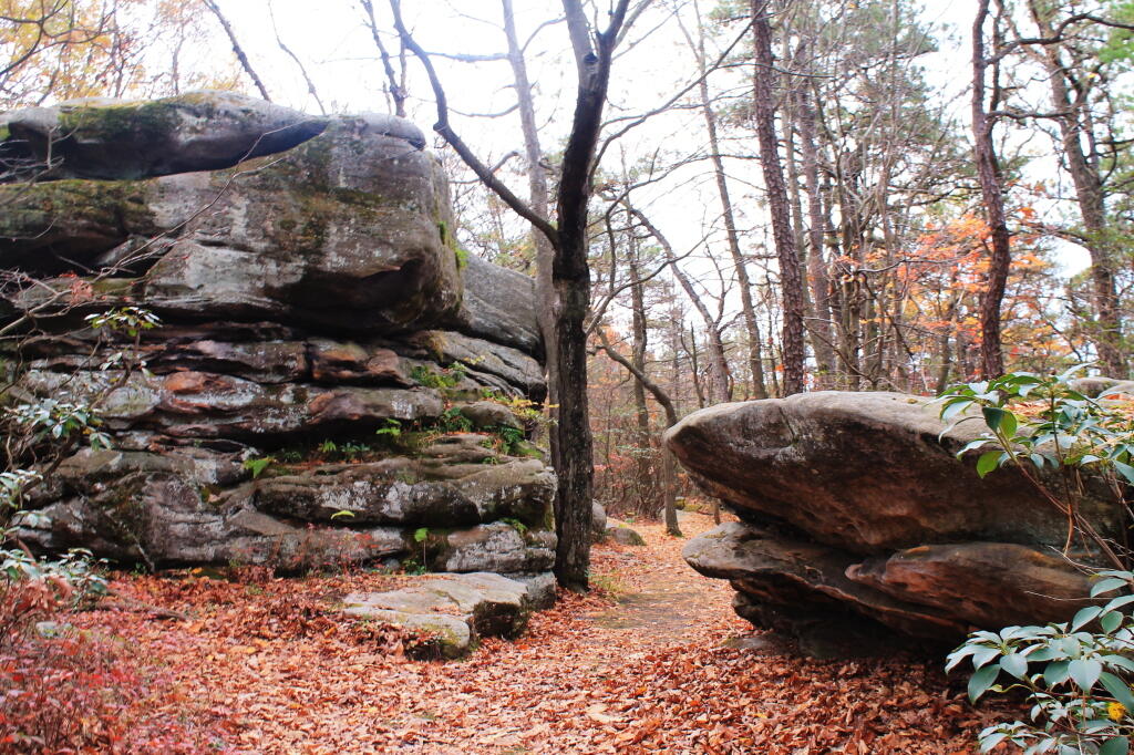 Photo: Jakes Rocks