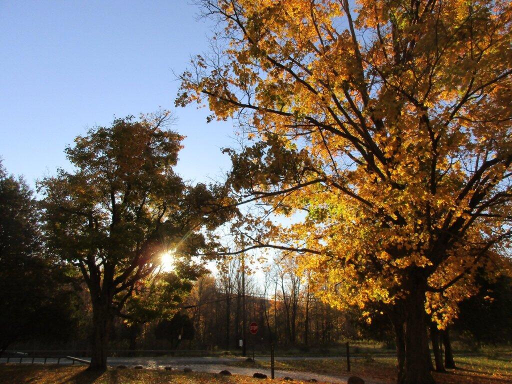 Photo: Early Morning