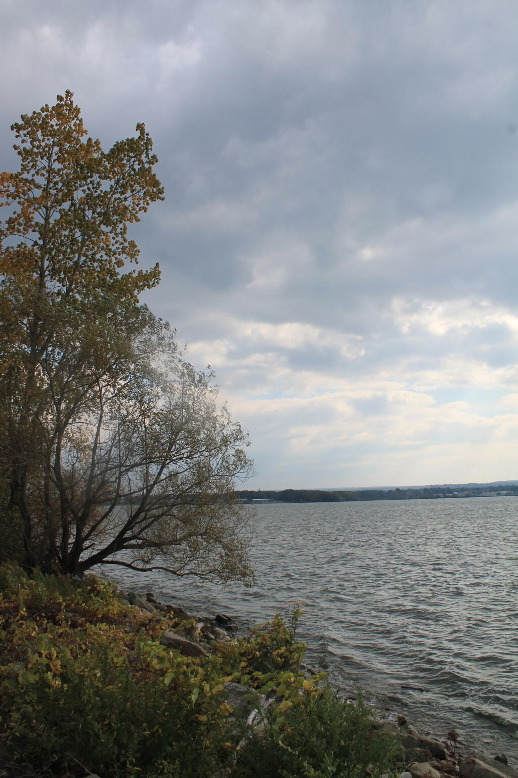 Photo: Shoreline