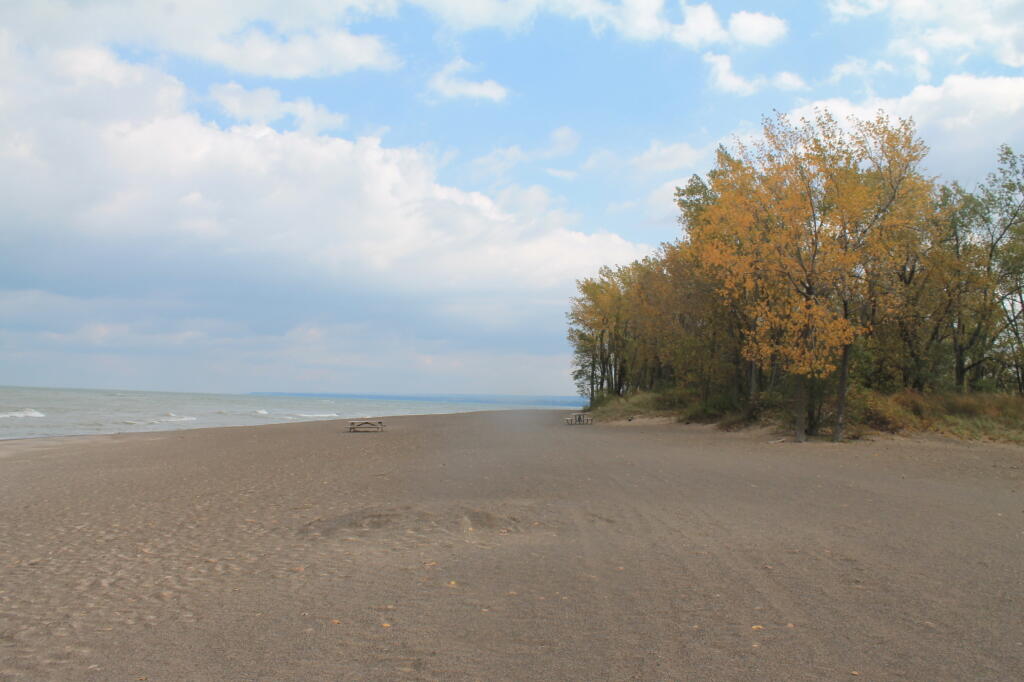 Photo: Along the Beach