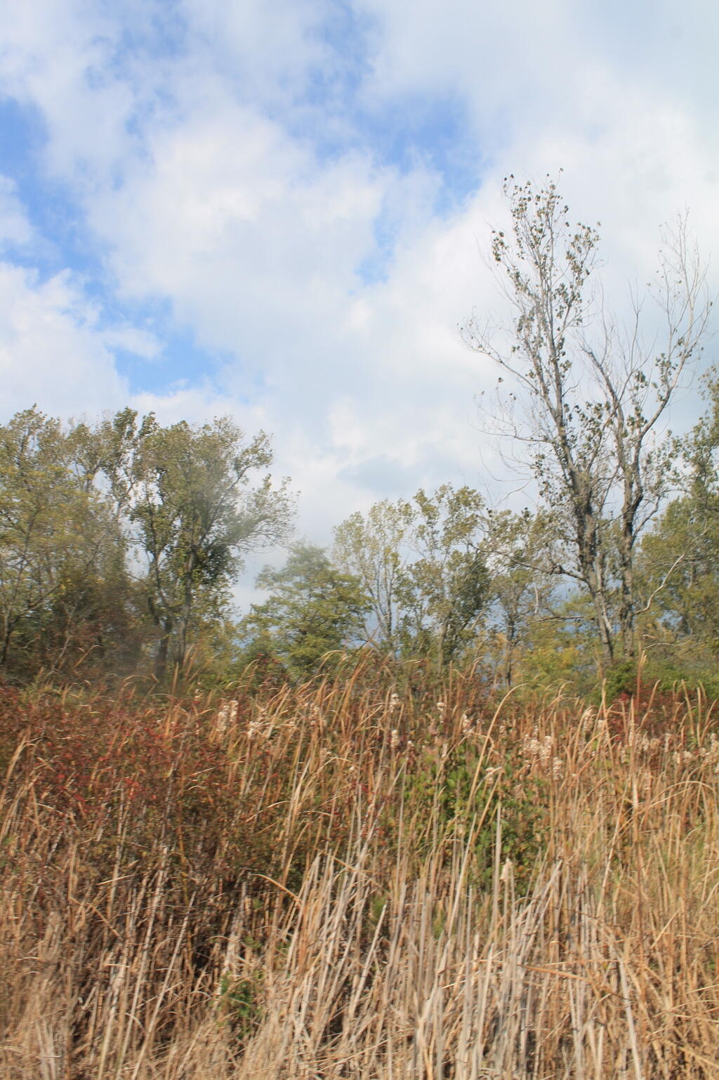 Photo: Along Gull Point Trail