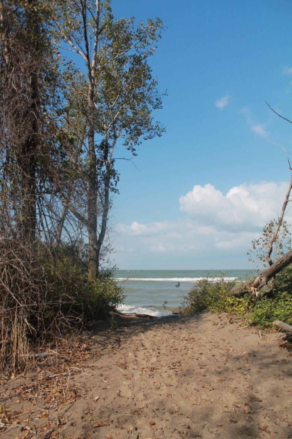 Photo: Pathway to the Lake