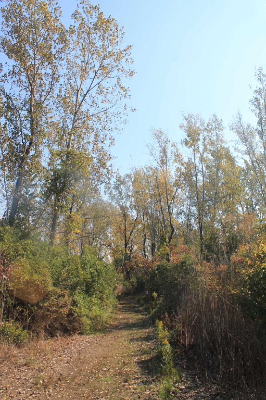 Photo: Gull Point Trail