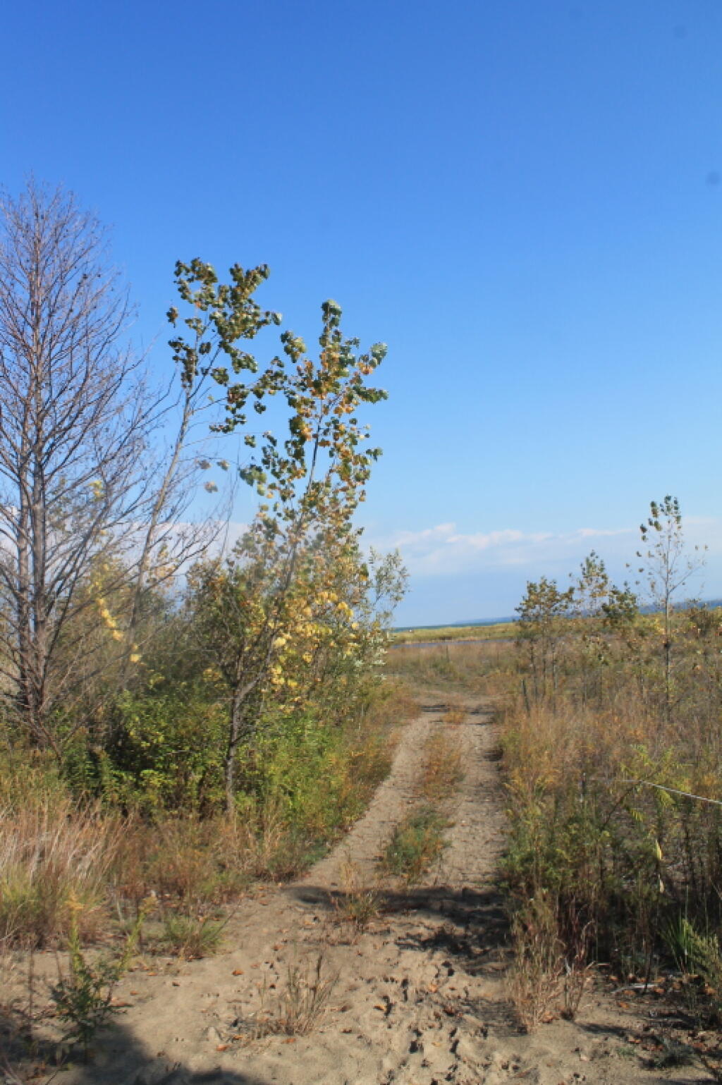 Photo: Following the Tracks