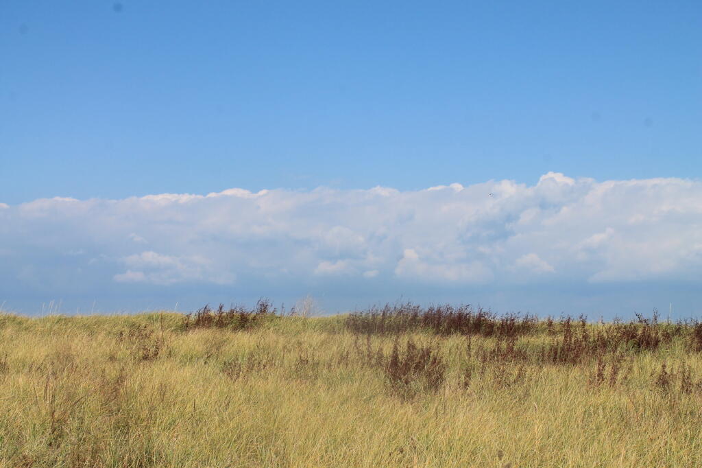 Photo: Sand Dune