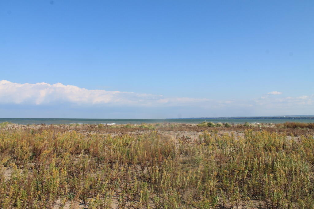 Photo: Along the Way Out to Gull Point