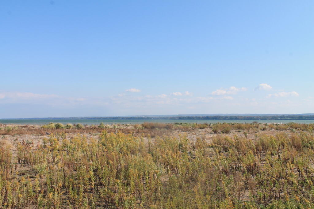 Photo: Back Towards Mainland