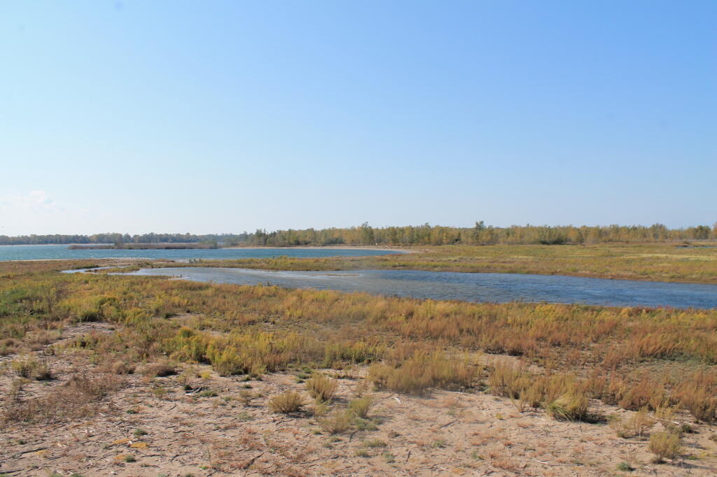 Photo: Wetlands