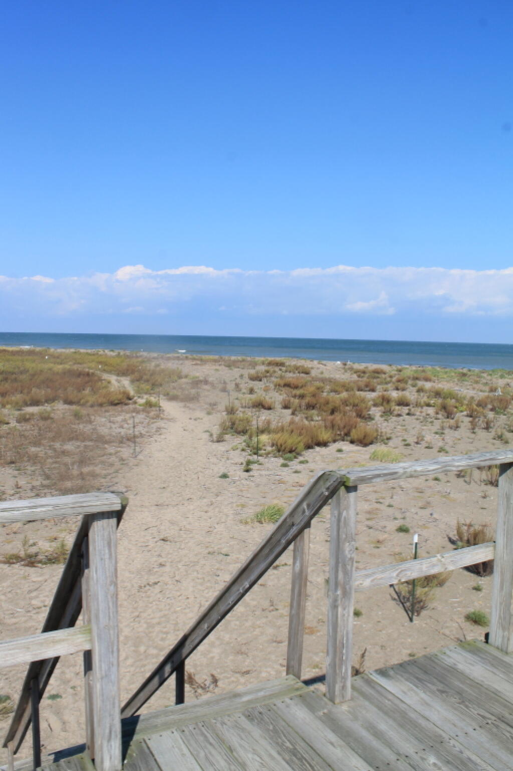 Photo: Gull Point Observation Platform