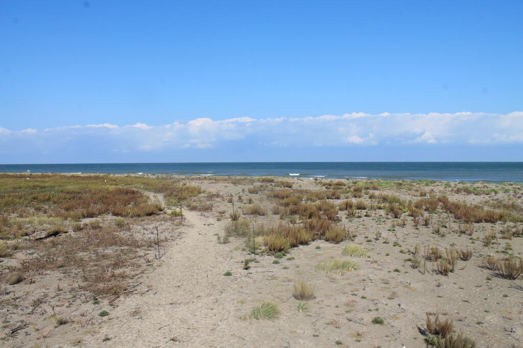 Photo: Off the End of Gull Point