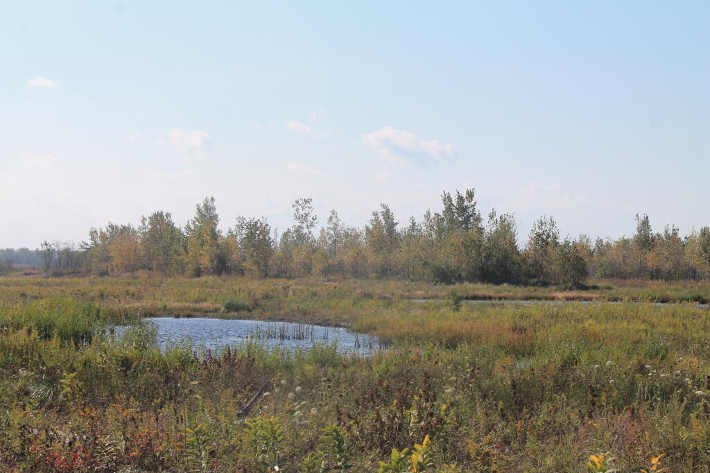 Photo: Gull Point Pond