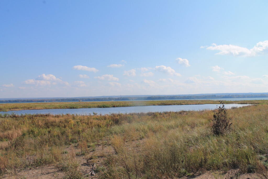 Photo: Pond from Gull Point with Erie in the Distance
