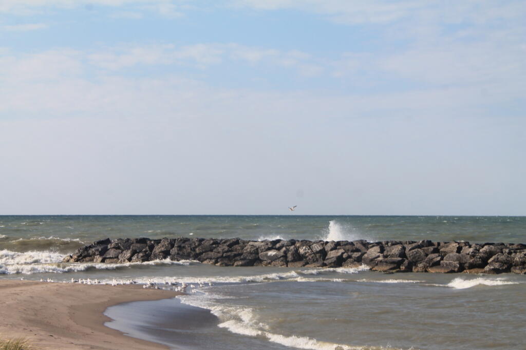 Photo: Breakwater