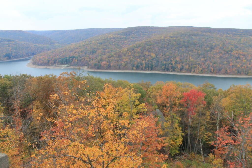 Photo: Fall Colors