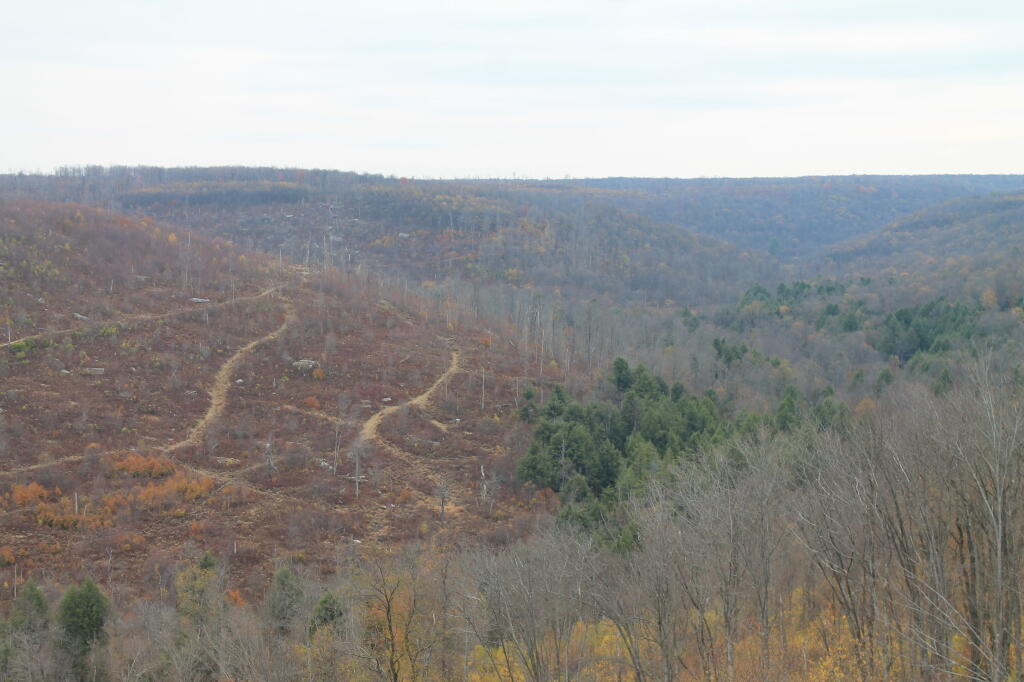 Photo: Kinzua Valley
