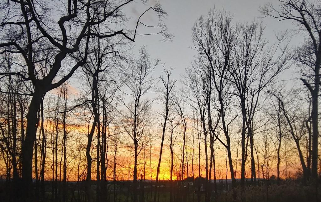 Photo: Being such a nice day, I decided to sit out back and watch the sun set