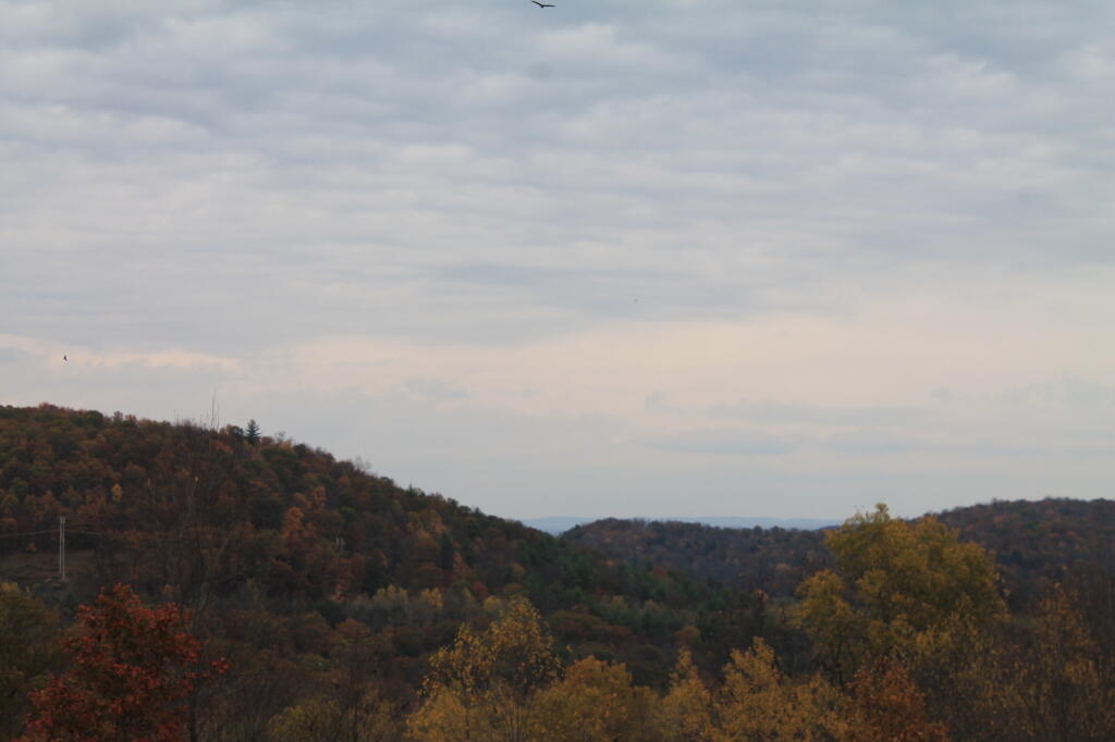 Photo: Hills Around St Mary