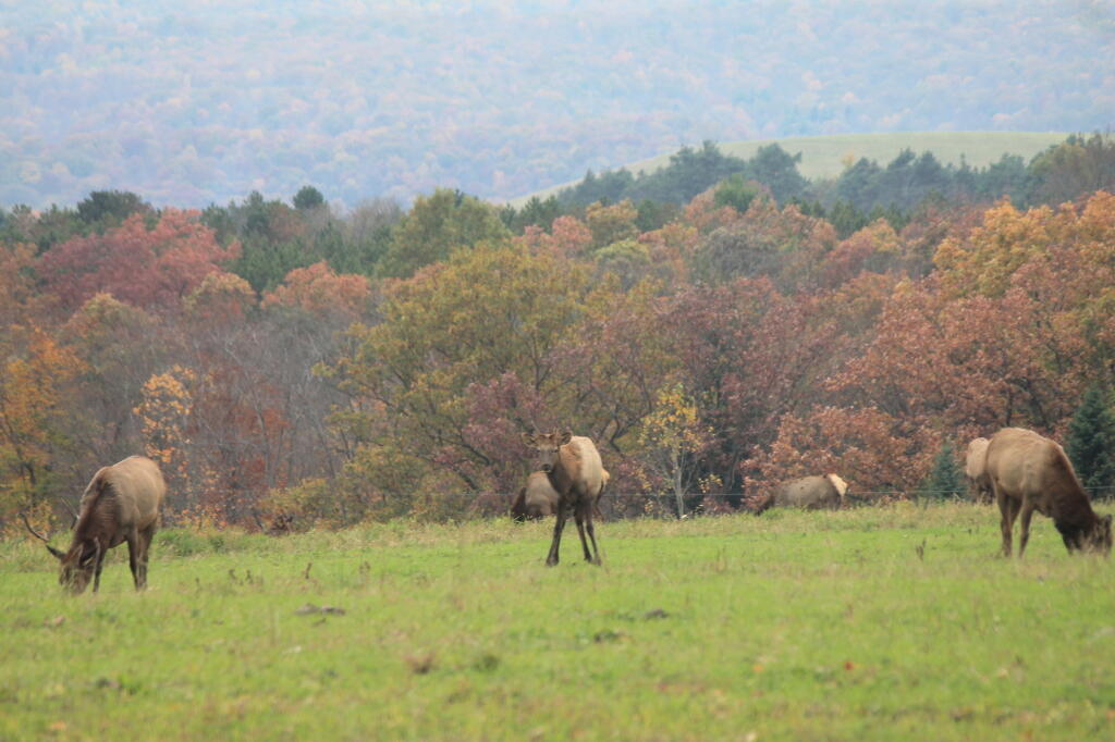 Photo: Keeping a Watchful Eye