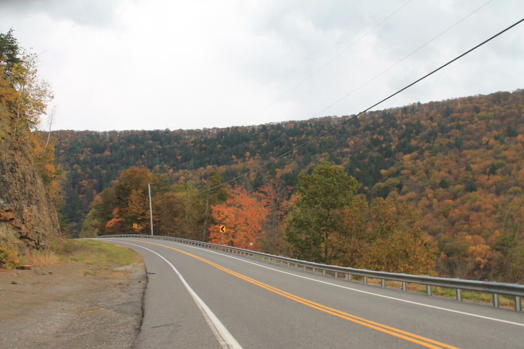 Photo: Mountain Lined Road